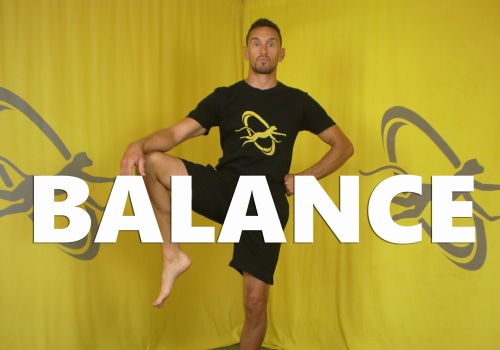 Finding Your Daily Movement Balance: How Much Should You Move Each Day?